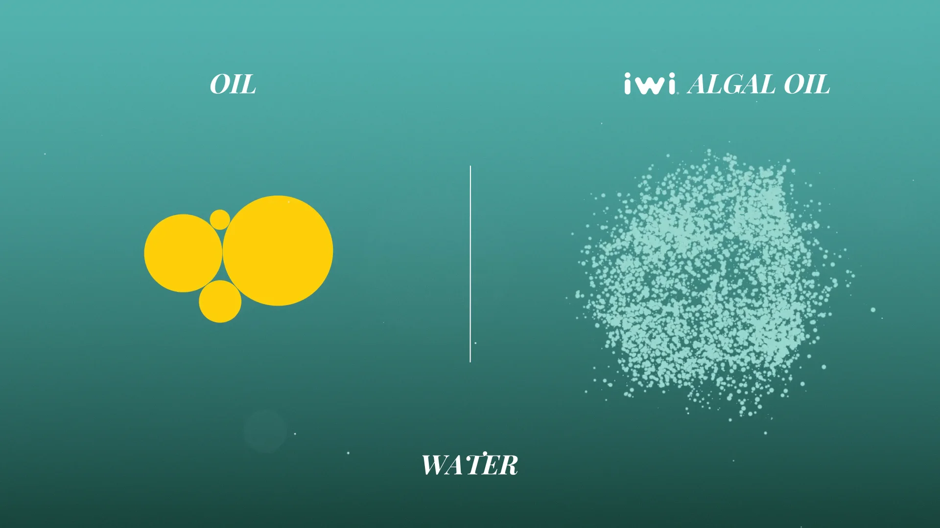 Motion Graphics - iwi Algal Oil - Superior Absorption on Vimeo