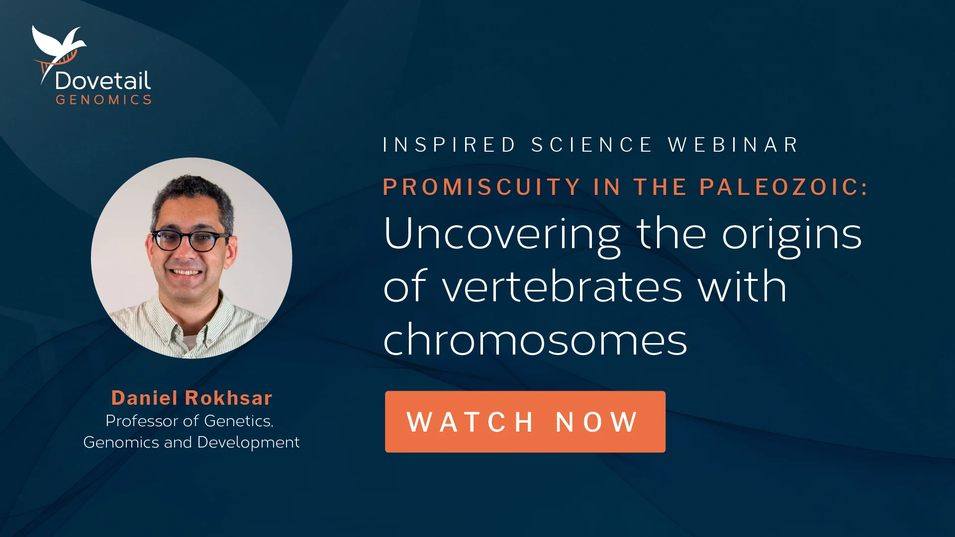 Promiscuity in the Paleozoic: Uncovering the origins of vertebrates with chromosomes.mp4
