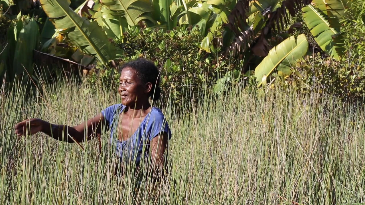Mahampy, Material of Life, a video by Sara Emily Brown
