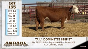 Lot #155 - TA L1 DOMINETTE 828F ET
