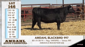 Lot #146 - AMDAHL BLACKBIRD 997