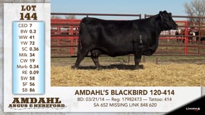 Lot #144 - AMDAHL'S BLACKBIRD 120-414