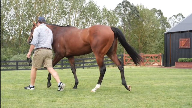 Lot 131