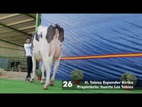 Vacas intermedias en lactación de 3 y 4 años
