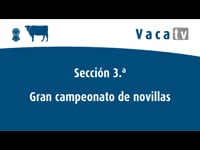 Gran campeonato de novillas