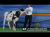 Terneras hasta 13 meses