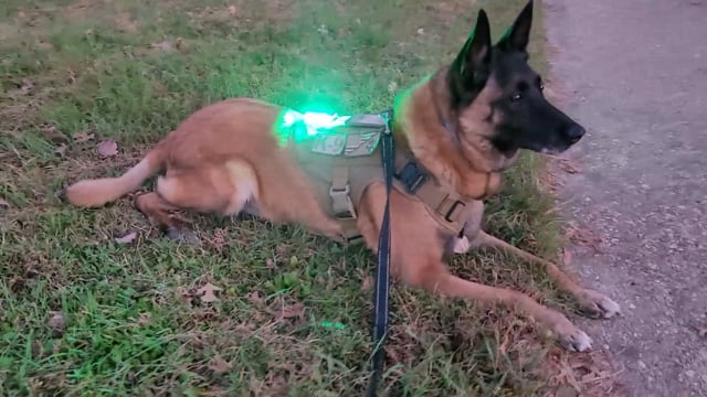 Led Wearable Lights For Nurses With Hands-free Magnetic Clip, For Hiking  Dog Walking Running Doctors