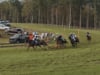 2020 Steeplechase at Callaway Gardens Race 5