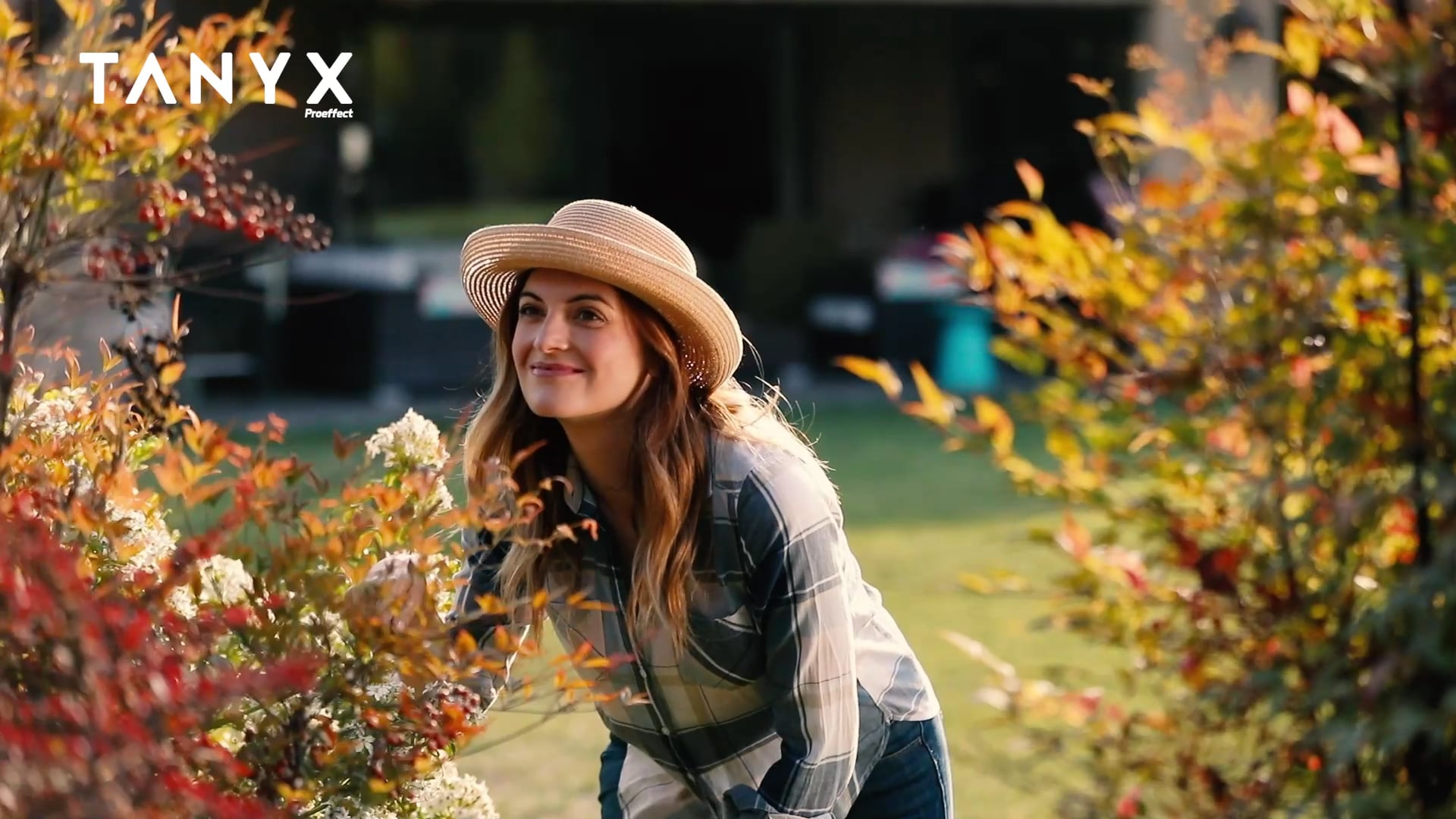 COMERCIAL TANYX