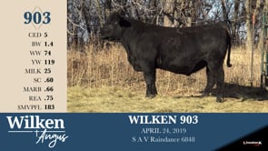 Lot #903 - WILKEN 903