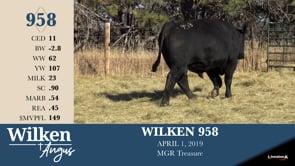 Lot #958 - WILKEN 958