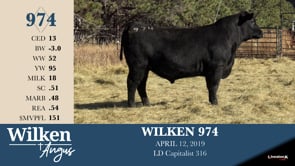 Lot #974 - WILKEN 974