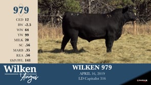 Lot #979 - WILKEN 979