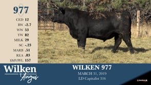 Lot #977 - WILKEN 977