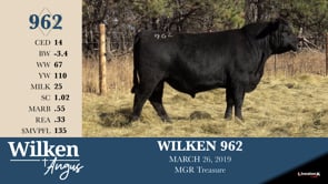 Lot #962 - WILKEN 962