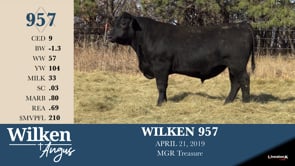 Lot #957 - WILKEN 957
