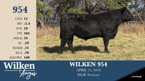 Lot #954 - WILKEN  954