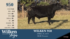 Lot #950 - WILKEN 950