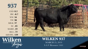 Lot #937 - WILKEN 937