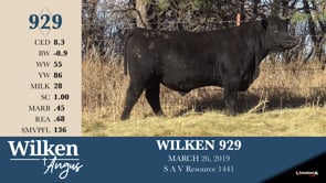 Lot #929 - WILKEN 929