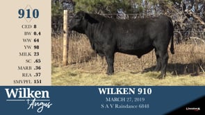 Lot #910 - WILKEN 910