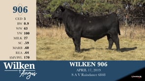 Lot #906 - WILKEN 906