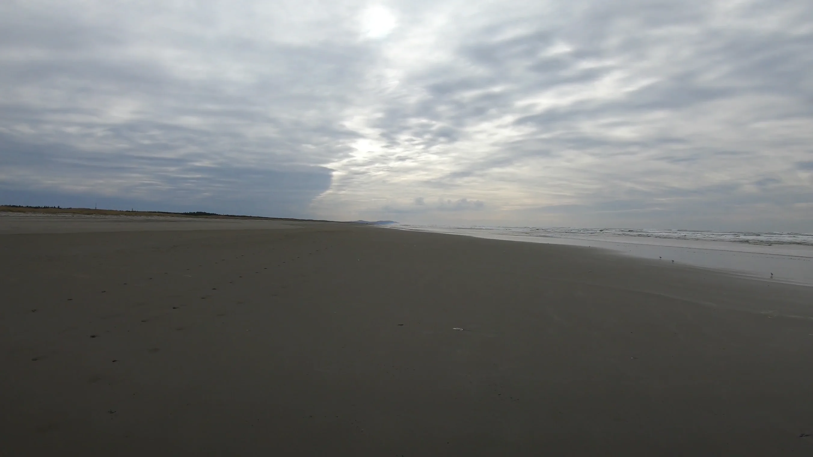 Beach Walk sample on Vimeo