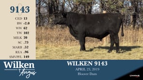 Lot #9143 - WILKEN 9143