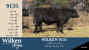Lot #9135 - WILKEN 9135