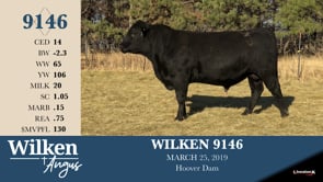 Lot #9146 - WILKEN 9146