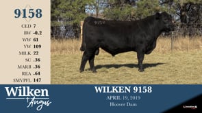 Lot #9158 - WILKEN 9158