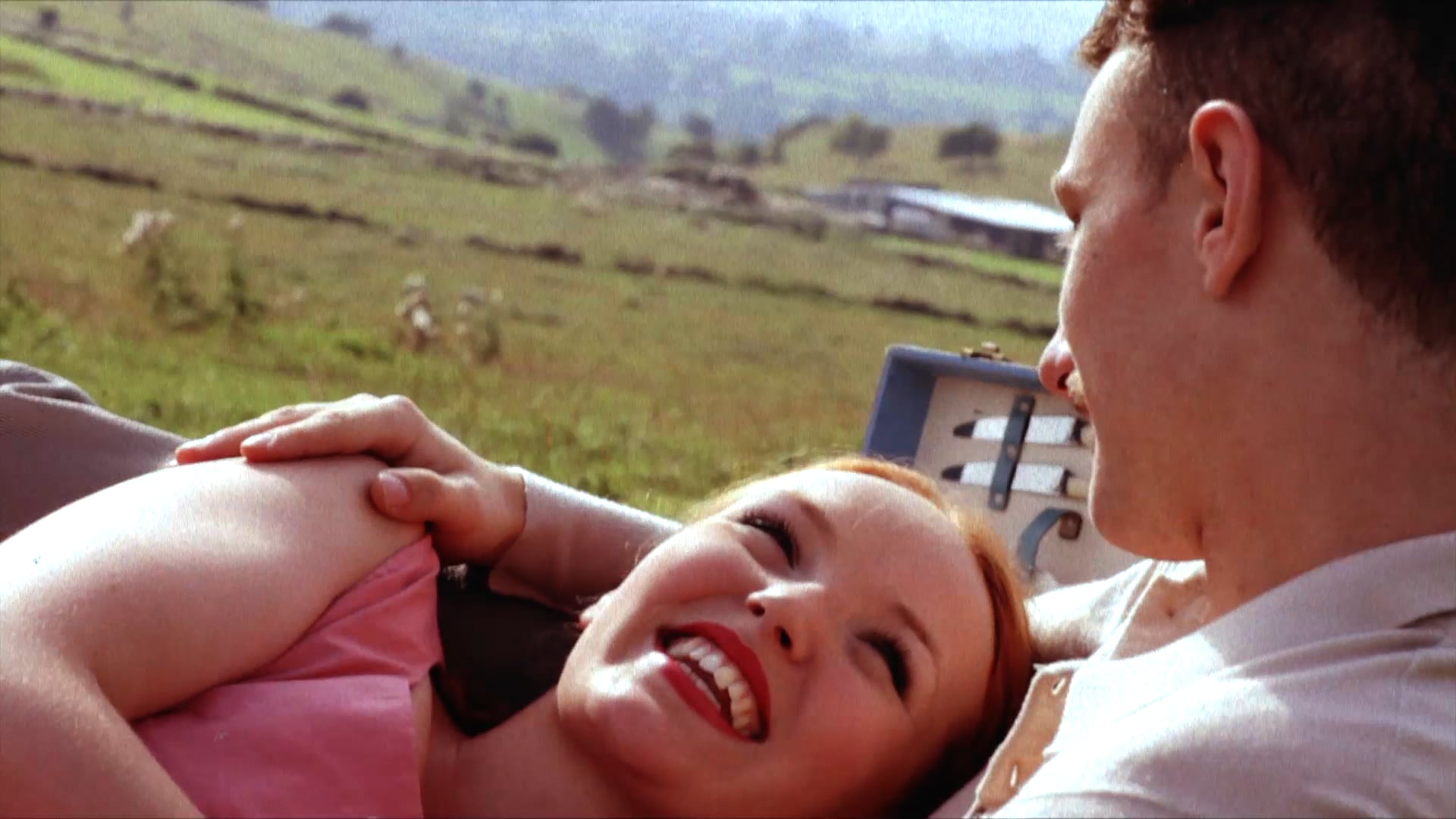 The Picnic