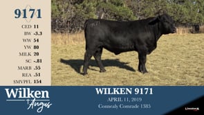 Lot #9171 - WILKEN 9171