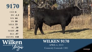 Lot #9170 - WILKEN 9170