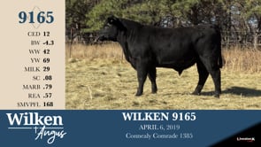Lot #9165 - WILKEN 9165