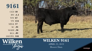 Lot #9161 - WILKEN 9161