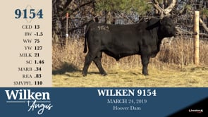 Lot #9154 - WILKEN 9154