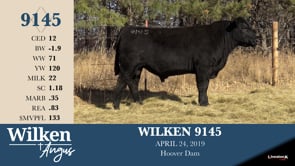 Lot #9145 - WILKEN 9145