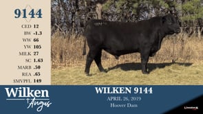 Lot #9144 - WILKEN 9144