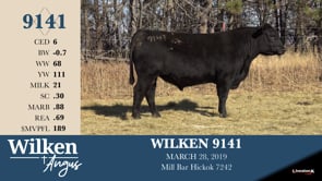 Lot #9141 - WILKEN 9141