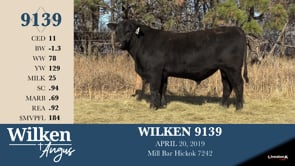 Lot #9139 - WILKEN 9139