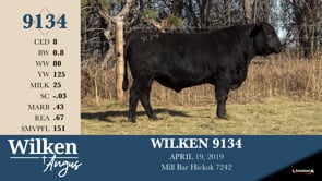 Lot #9134 - WILKEN 9134
