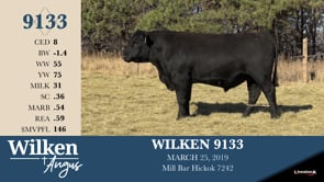 Lot #9133 - WILKEN 9133