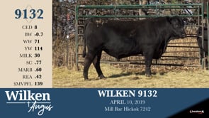 Lot #9132 - WILKEN 9132