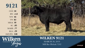 Lot #9121 - WILKEN 9121
