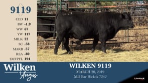 Lot #9119 - WILKEN 9119