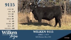 Lot #9115 - WILKEN 9115