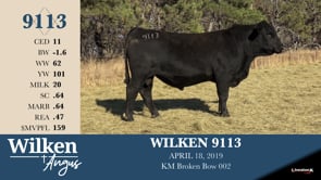 Lot #9113 - WILKEN 9113