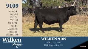 Lot #9109 - WILKEN 9109