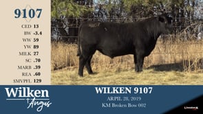 Lot #9107 - WILKEN 9107